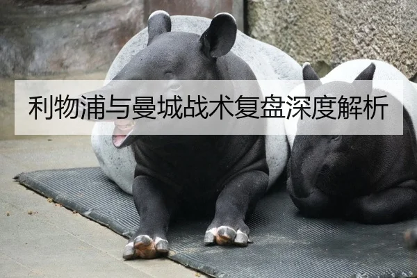 利物浦与曼城战术复盘深度解析