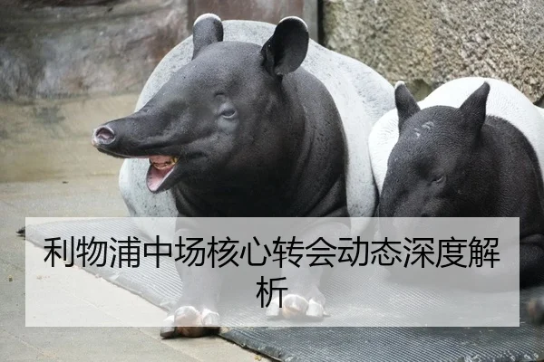 利物浦中场核心转会动态深度解析